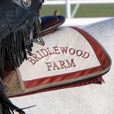 Bridlewood Farm - Horse Boarding in Ocala