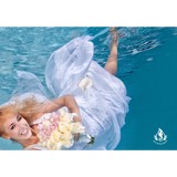 Seip Photography & Graphics - Advertising in Miami