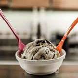Tyler's Homemade Ice Cream - Wholesale in Bradenton