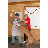 Bulli Ray Enterprises - Other in Lowell