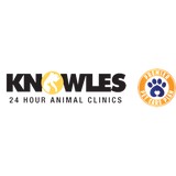 Pereira Jacqueline DVM - Veterinarians/Vets in Miami