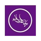 Micah's Place Inc - Other in Fernandina Beach