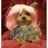 Wiggles LLC - Barbers in Miami