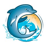 Dolphin Safari - Boat  & Yacht Charters in Key West