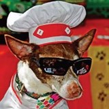 Doggie Bag Cafe & Pet Boutique - Pet Services in Miami
