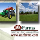 Smr Farms - Wholesale in Bradenton