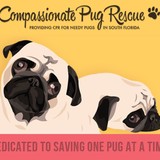 Compassionate Pug Rescue Inc - Pet Services in Miami