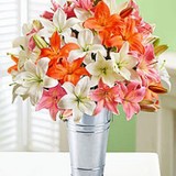 Yosvi - Florists in Miami