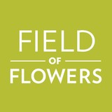 Field of Flowers - Florists in Miami