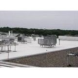 TurpCo USA Inc. - Other in Fernandina Beach