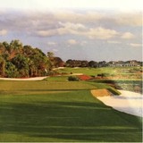 Medalist Golf Company - Other in Hobe Sound