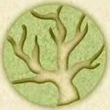 Patrassage - Massage Therapy in Ocala