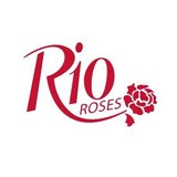 Rio Roses - Florists in Miami