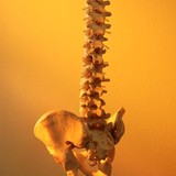 Kuhn Chiropractic Assoc pa - Chiropractors in Ocala