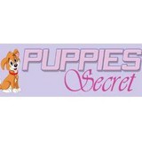 Puppies Secret - Pet Stores in Miami