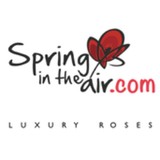 Spring in the Air Luxury Roses - Florists in Miami