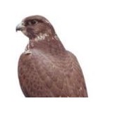 Falcon Plumbing - Plumbing in Miami