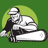 All Dade Tree Service, Inc - Tree Services in Miami