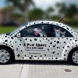 A Paw Above - Pet Groomers in Miami