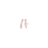 Miami Royal Ballet School - Dance Schools in Miami