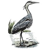 Mangrove Chapter Of The Izaak Walton - Social Clubs in Miami