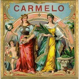 Caribbean Cigar & Tobacco - Tobacco & Cigar Shops in Miami