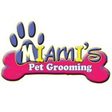 Miami Mobile Pet Grooming - Pet Groomers in Miami