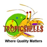 Tropics Shells And Gifts Inc - Gift Shops in Miami
