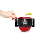 Pro-Echo Diagnostics - Other in Miami Beach