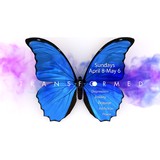 Eternal Rock Inc - Masonry/Concrete in Bradenton