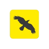 Crow Tracker - Other in Miami Beach