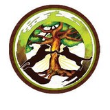 Zen Pet Spa - Pet Groomers in Miami