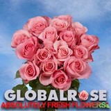 Globalrose Com LLC - Wholesale in Miami