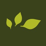 Passion Flower Growers - Florists in Miami