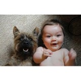 VIP AIR PURIFIER REVIEWS - Other in Baker