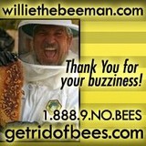 Willie the Bee Man - Pest Control in Miami
