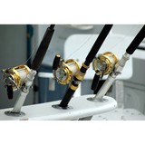 Florida Fishing Charters - Other in Palmetto
