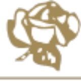 Gold Rose Realty Inc - Other in North Miami Beach