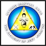 Hybrid Martial Arts - Martial Arts in Miami