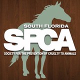 Spca Inc - Other in Hialeah