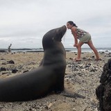 TripGalapagos Travel Agency - Travel Agents in Orlando