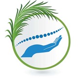 Dr Matthew J Tavolacci Dc - Chiropractors in West Palm Beach
