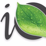 Iquest LLC - Business Consulting in West Palm Beach