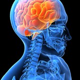 Center For Neuroscience - Doctors in Delray Beach