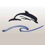 Paul R Miller pa - Dentists in New Port Richey