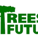 Premiere Tree Services of Jupiter - Tree Services in Jupiter