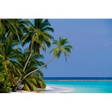 Emerald Blue Travel LLC - Travel Agents in Orlando