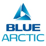Blue Arctic LLC - Business Consulting in Kissimmee