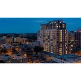 Bainbridge CO LLC - Business Consulting in West Palm Beach