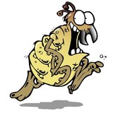 Nelson's Pest Control, Inc. - Pest Control in New Port Richey